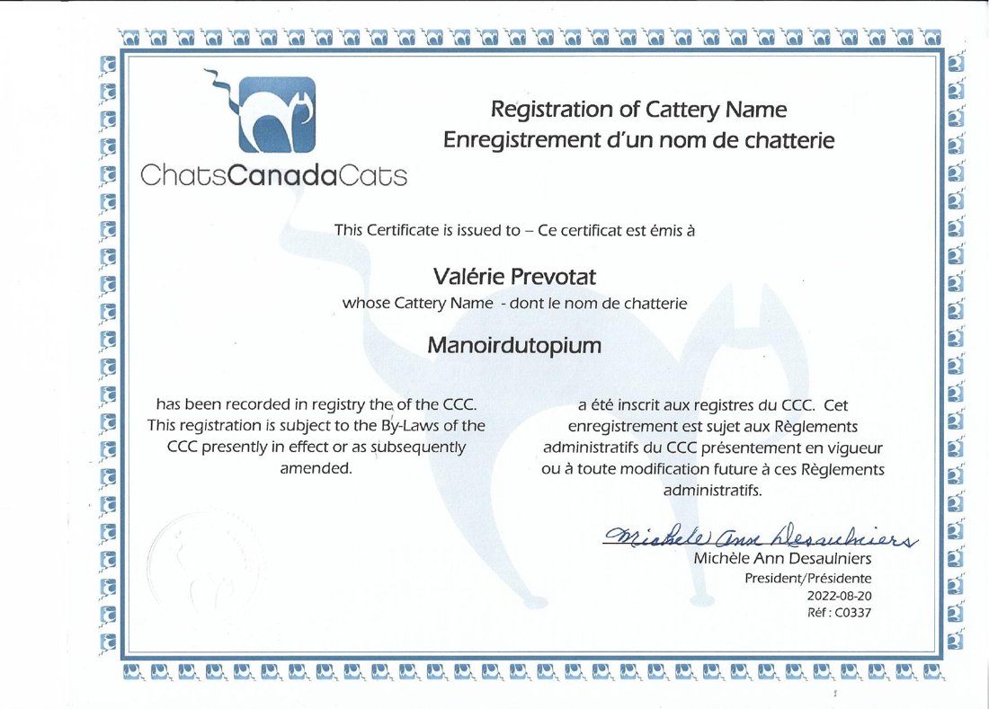Certificat d'enregistrement de l'élevage au Chats Canada Cats (CCC) n° C0337